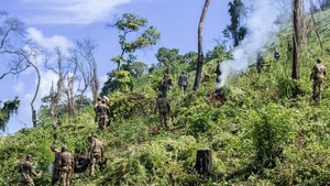 Escudo Guaraní: Histórico golpe al narcotráfico en 2026