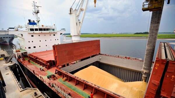 Itapúa impulsa la exportación de granos hacia el mercado brasileño