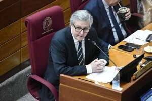 Filizzola: reforma de caja fiscal solo busca “patear la pelota” al próximo gobierno - Política - ABC Color