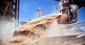 La Nación / Paraguay consolidó en enero avances en agroindustria y exportaciones estratégicas