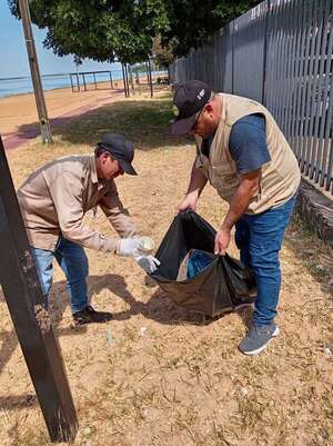 Prevención del dengue se intensifica en Ayolas - Nacionales - ABC Color