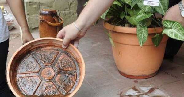 La Nación / Detectan primer caso de chikungunya y un brote de dengue en Limpio