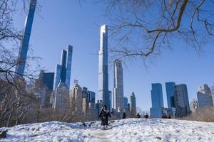 EE.UU. se prepara para una ola de frío con temperaturas de -34 °C - Mundo - ABC Color