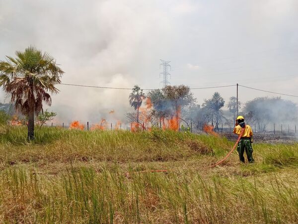 Fuerzas Militares despliegan operativo para combatir incendios cerca del Puente Héroes del Chaco - La Tribuna