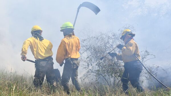 Militares combaten incendios forestales cerca del Puente Héroes del Chaco, en Nueva Asunción