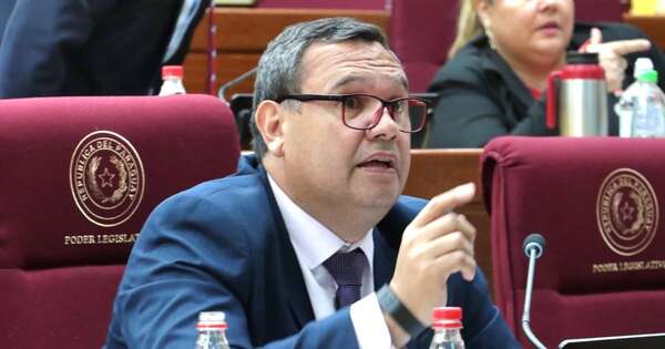 La Nación / “Debemos hacer las cosas que nadie tuvo el coraje de hacer”, afirma senador sobre Caja Fiscal