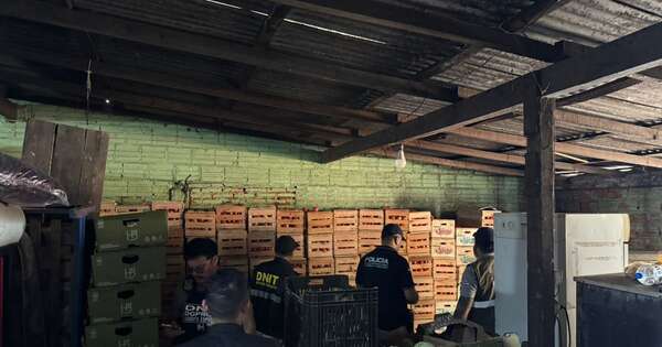 La Nación / Incautan más de cinco toneladas de tomate presuntamente de contrabando en el Mercado de Abasto