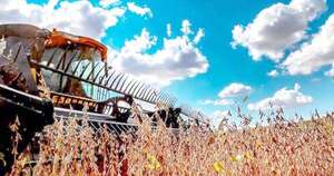 La Nación / Soja: óptimos rindes sojeros