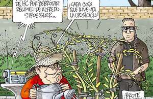 HUMOR - Humor - ABC Color