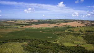 Paraguay: Plan para reducir gases y proteger la capa ozono