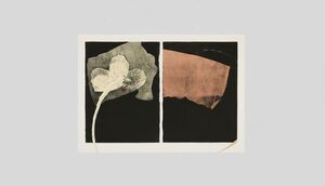 "Papeles sobre papel", monocopias de Carlo Spatuzza, se inaugura en Verónica Torres