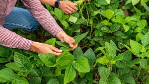 Anticipación y disciplina: claves para enfrentar la campaña agrícola 2026/27