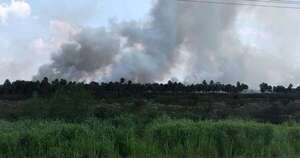 Diario HOY | Incendio forestal afecta estancia en Presidente Hayes