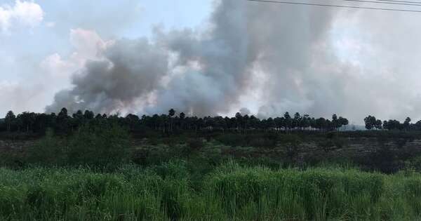 Diario HOY | Incendio forestal afecta estancia en Presidente Hayes