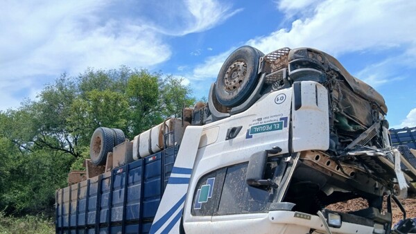 Accidente de tránsito deja daños materiales y animales vacunos lesionados en la ruta PY16