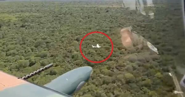 Diario HOY | Otra narcoavioneta detectada por Super Tucanos: ministro afirma que no descargaron droga