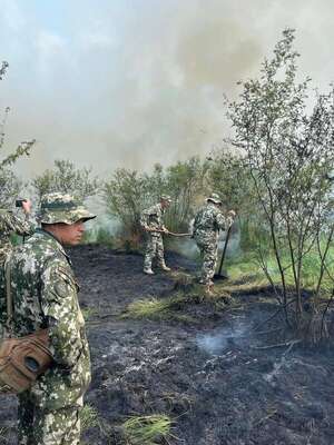 Video: extinguen focos de incendio en estancia de la familia Denis - Nacionales - ABC Color