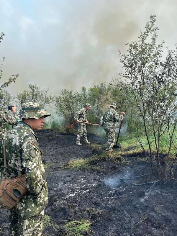 Video: extinguen focos de incendio en estancia de la familia Denis - Nacionales - ABC Color