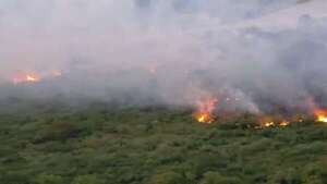 Video: nuevos focos de incendio en la zona de Nueva Asunción - Nacionales - ABC Color