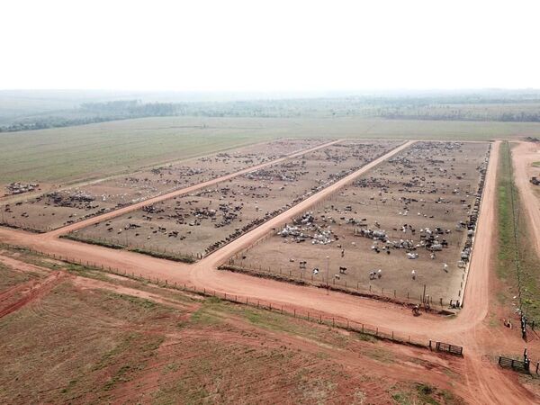 Medir para decidir: la gestión de la información ya impacta en más de 1 millón de hectáreas en Paraguay