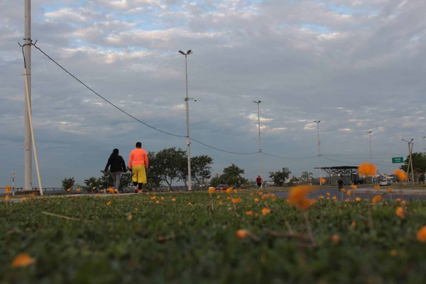 Guía de seguridad para peatones y ciclistas en Costanera