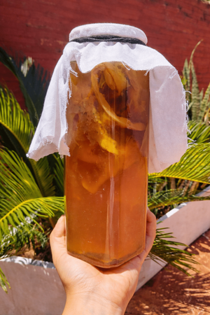 Kombucha: La guía para mejorar tu salud intestinal