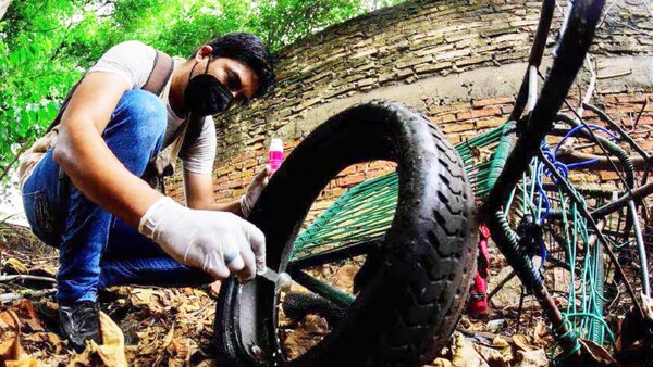 Aumentan casos de dengue y registran brote en Limpio