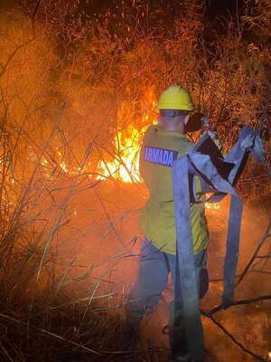 “Es una irresponsabilidad criminal”: ministro pide castigos penales por quemas - Nacionales - ABC Color