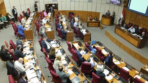 Propuesta del Ejecutivo para la Caja Fiscal "no es reforma, es ajuste”