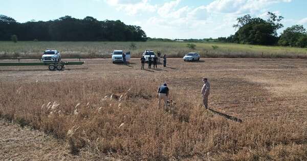 San Ignacio: hallan restos óseos en sojal  - Policiales - ABC Color