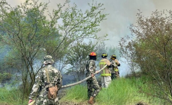 Incendios forestales fueron provocados y serán investigados