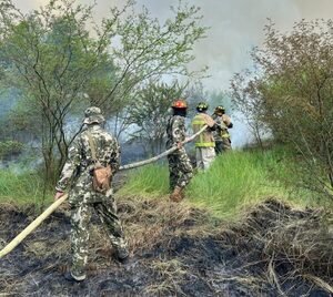 Casi todos los incendios forestales fueron provocados y serán investigados por la Fiscalía