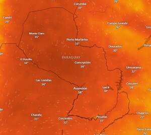 Alerta del MAG por ola de calor y sequía: Cómo proteger los cultivos ante el estrés térmico - La Tribuna