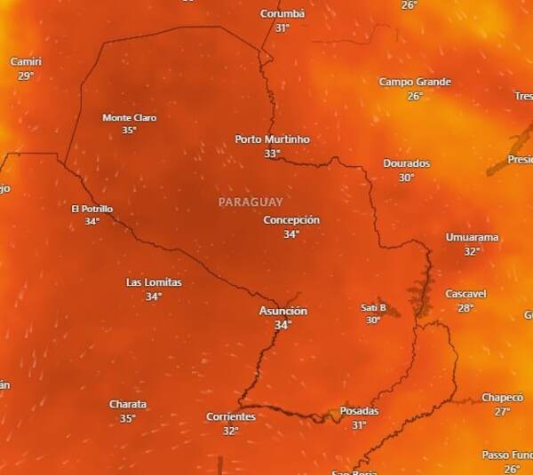 Alerta del MAG por ola de calor y sequía: Cómo proteger los cultivos ante el estrés térmico - La Tribuna