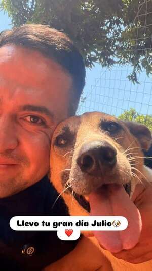El emotivo adiós a Julio: el perro que esperó dos años para encontrar una familia - Soy un viral - ABC Color