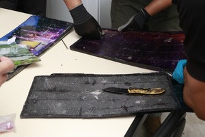 Canes antidrogas detectaron cocaína en cuadros artísticos que iban a Australia - trece