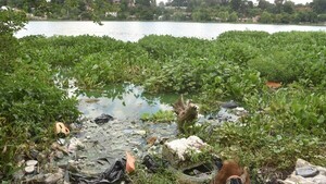 Denuncias de rellenos ilegales y vertederos afectan el área del cerro Lambaré y la laguna Cateura