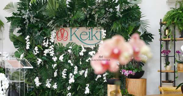 Diario HOY | Keiki llega a Distrito Perseverancia