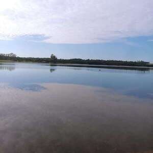 Investigan contaminación del lago Acaray por presunto vertido de faenadores de cerdos - ABC en el Este - ABC Color