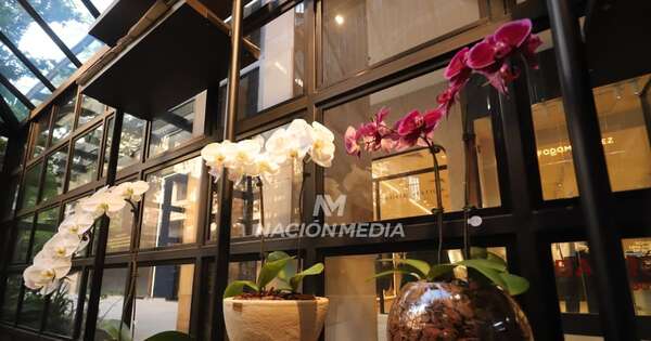 La Nación / Keiki incorpora sus arreglos de orquídeas a Distrito Perseverancia