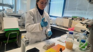 Investigan efectos de medicamentos en bacterias ambientales