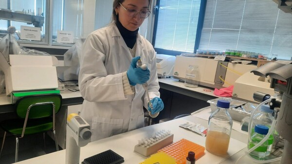 Investigan efectos de medicamentos en bacterias ambientales