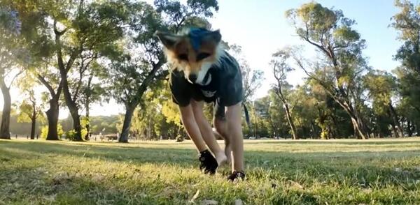 Popular / (VIDEOS) En Argentina aparecieron los Therian y se multiplican: ¡Se autoperciben animales!