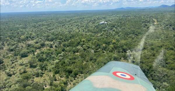 La Nación / Aclaran que la avioneta no bajó carga alguna