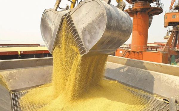 Coordinadora Agrícola del Paraguay reclama transparencia y respeto en la comercialización de granos en Paraguay