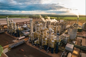 INPASA acelera primeras exportaciones de DDGS a China y refuerza su posicionamiento regional