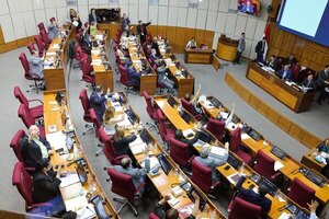 Senadores definen reforma de Caja Fiscal este martes - trece