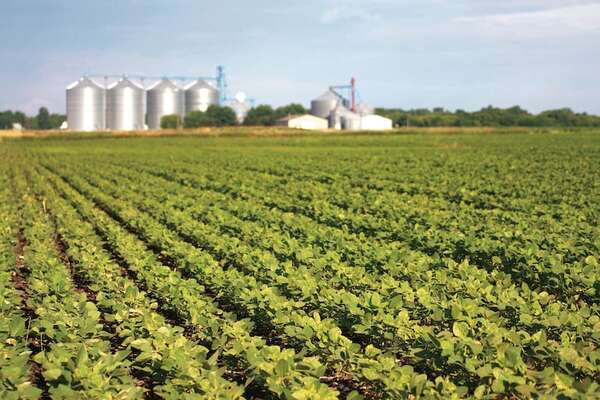 Productores denuncian especulación en el precio de la soja y exigen transparencia - Economía - ABC Color