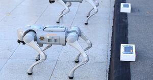 La Nación / “Perros robot” apoyarán a policías en sede mexicana del Mundial 2026