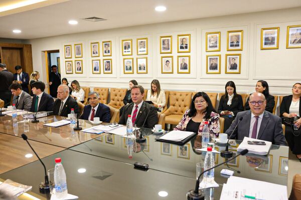 Ministra Llanes destaca preocupación de la Corte y medidas en curso sobre la mafia de los pagarés - Judiciales.net